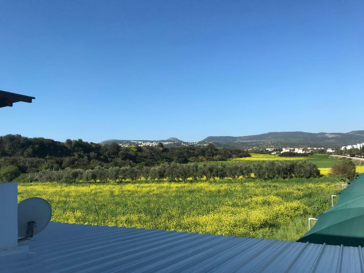 Latchi Holiday Flat Polis Esterno foto
